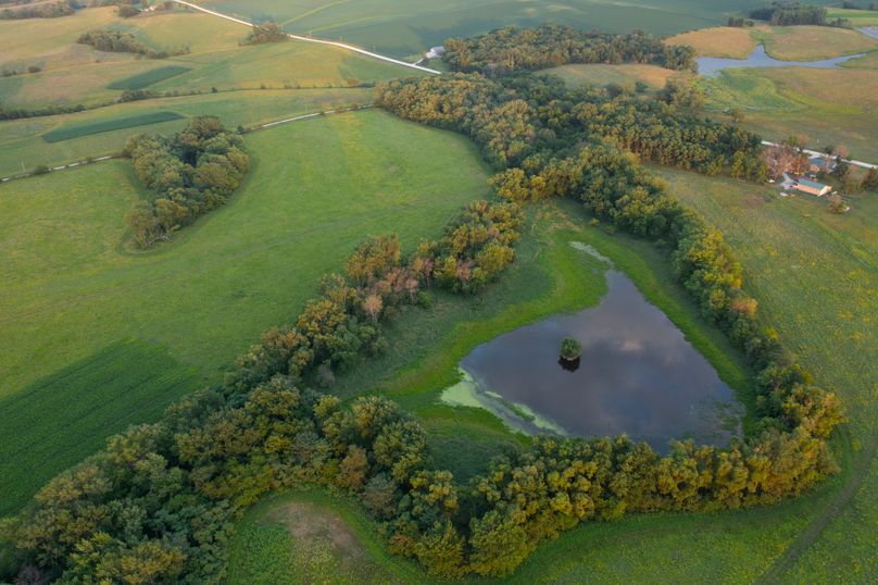 Benton IA 442 Pro Photo_11