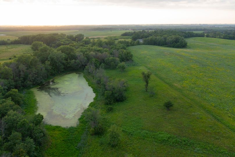 Benton IA 442 Pro Photo_1