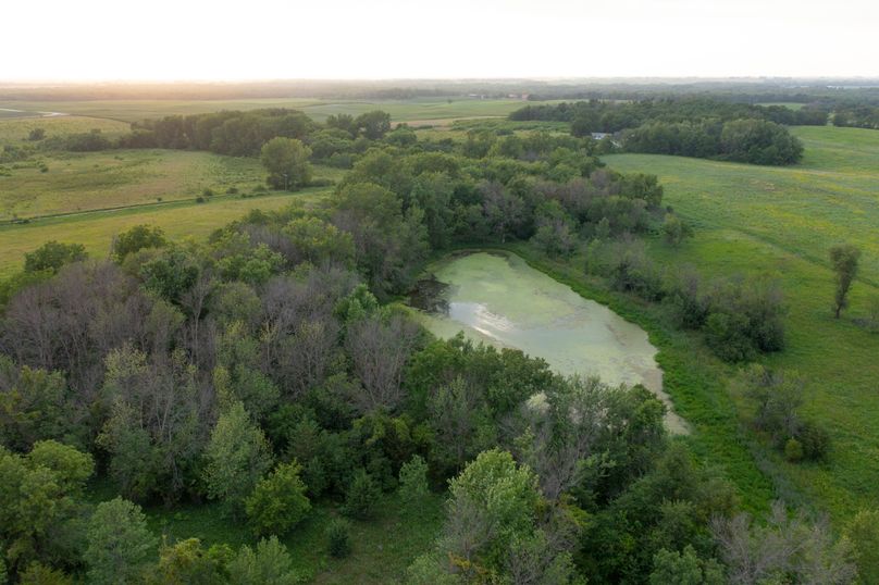 Benton IA 442 Pro Photo