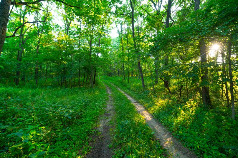 Benton IA 442 Pro Photo_50