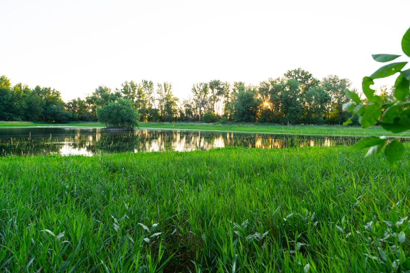 Benton IA 442 Pro Photo_46