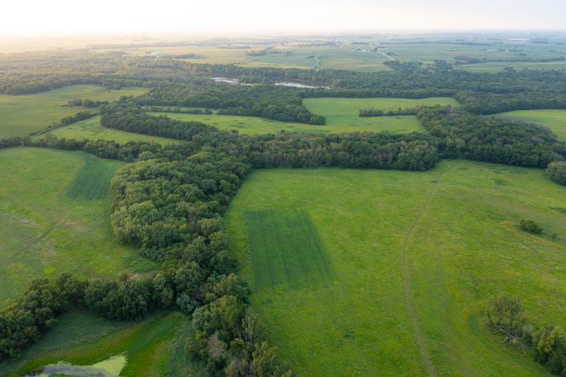 Benton IA 442 Pro Photo_4