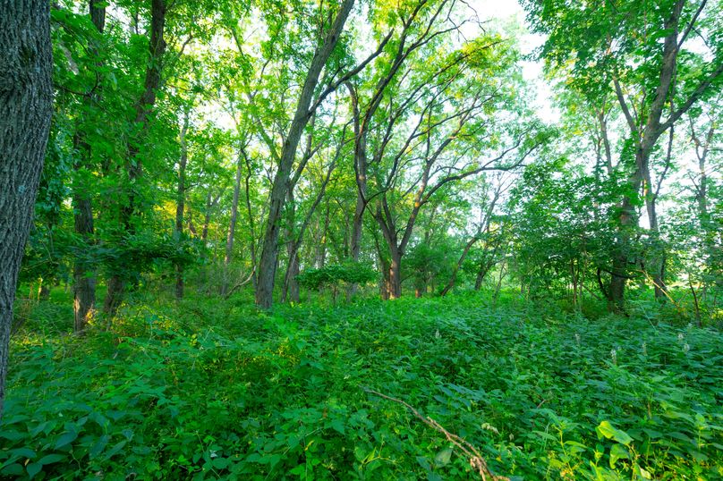 Benton IA 442 Pro Photo_52