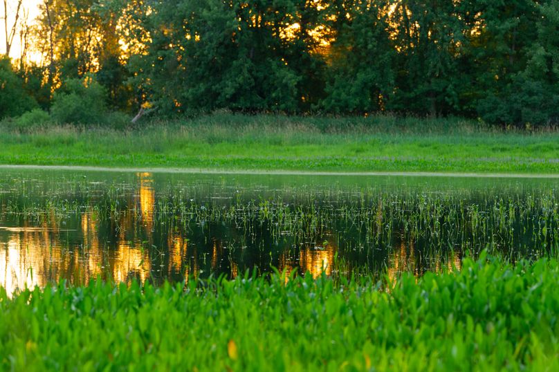 Benton IA 442 Pro Photo_45