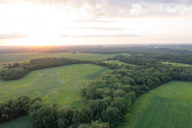 Benton IA 442 Pro Photo_13