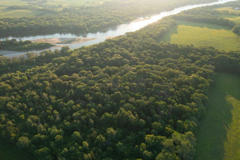 Benton IA 442 Pro Photo_32