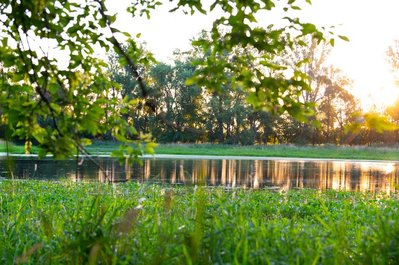 Benton IA 442 Pro Photo_57