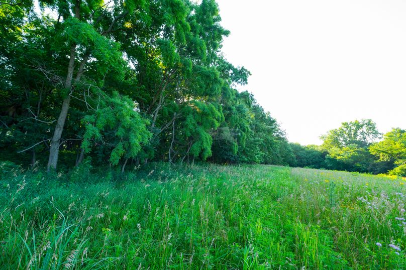 Benton IA 442 Pro Photo_55