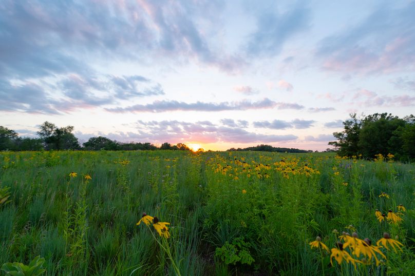Benton IA 442 Pro Photo_38