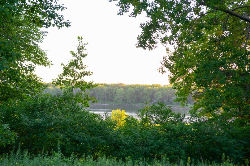 Benton IA 442 Pro Photo_58