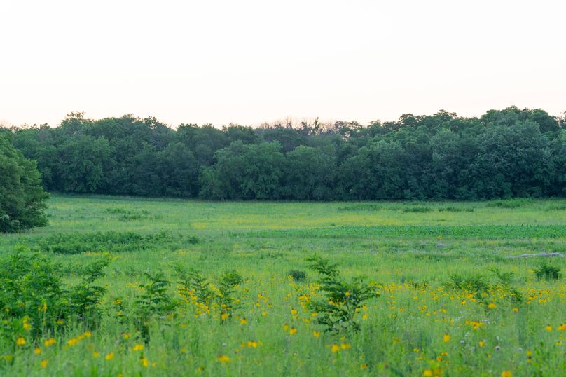 Benton IA 442 Pro Photo_40