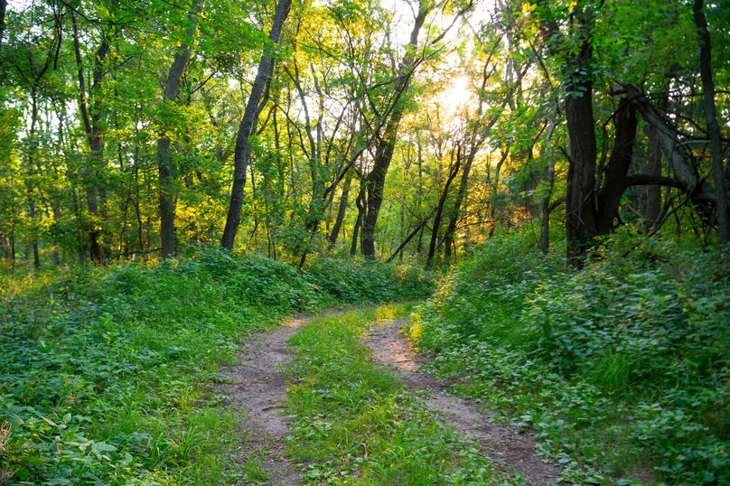 Benton IA 442 Pro Photo_61