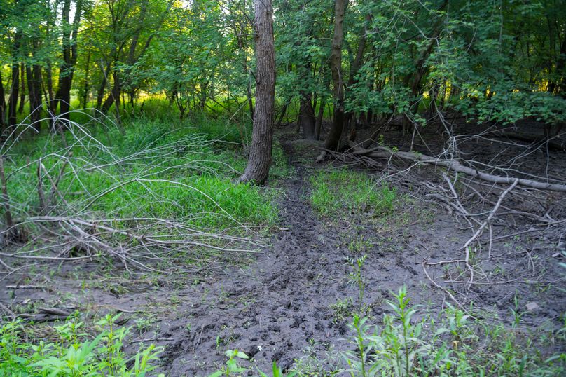 Benton IA 442 Pro Photo_60