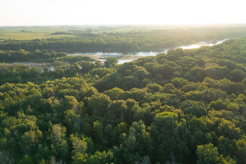 Benton IA 442 Pro Photo_28