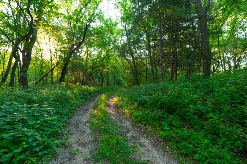 Benton IA 442 Pro Photo_48