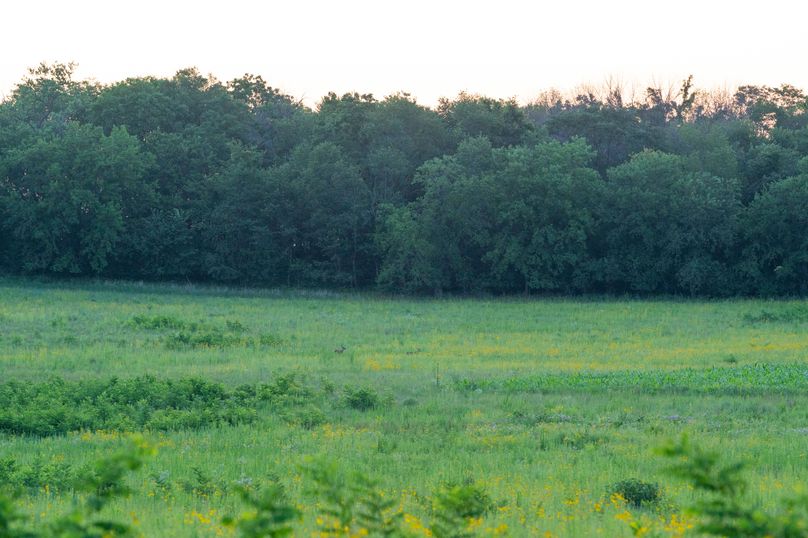 Benton IA 442 Pro Photo_39