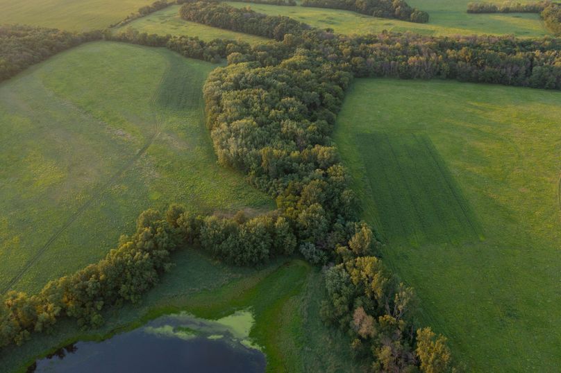 Benton IA 442 Pro Photo_8