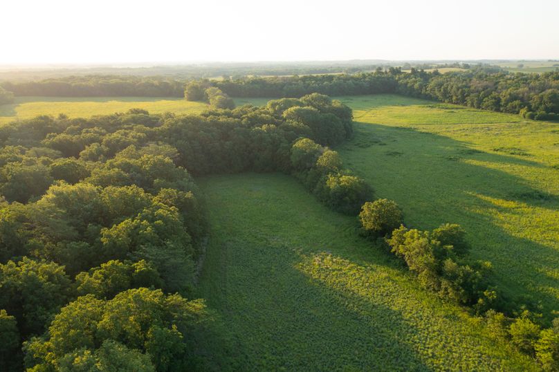 Benton IA 442 Pro Photo_27