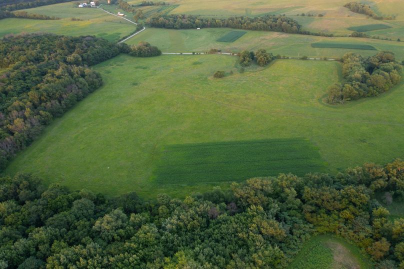 Benton IA 442 Pro Photo_10