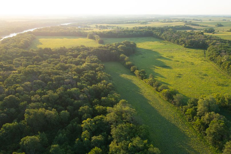 Benton IA 442 Pro Photo_30