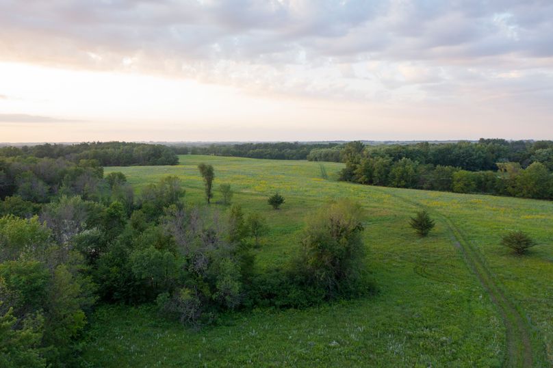 Benton IA 442 Pro Photo_12