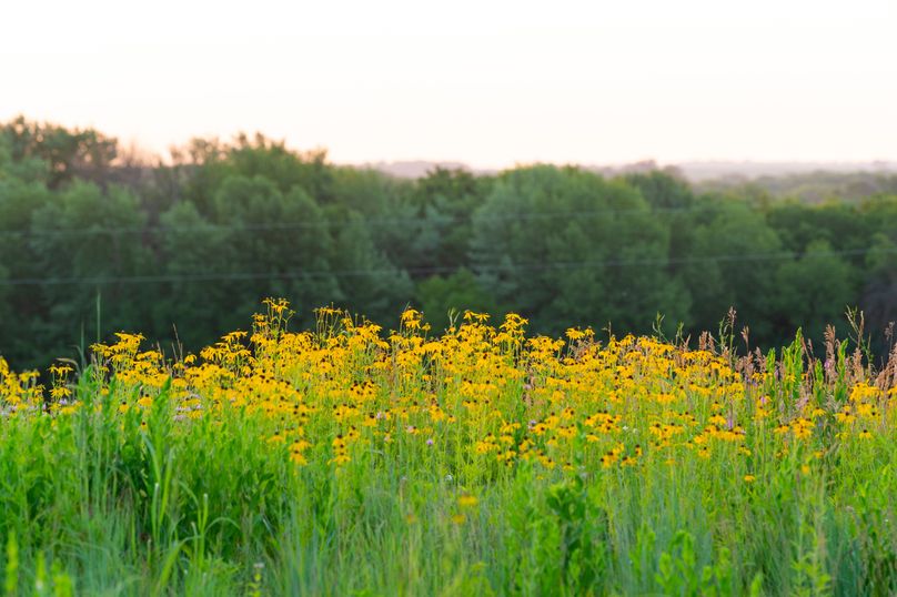 Benton IA 442 Pro Photo_43