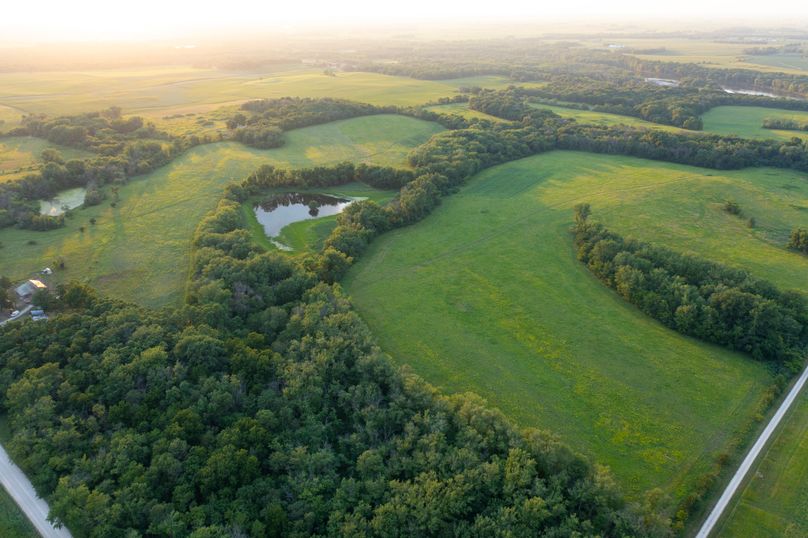 Benton IA 442 Pro Photo_5