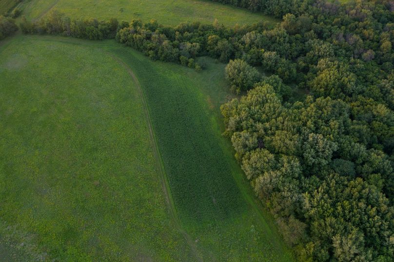 Benton IA 442 Pro Photo_9