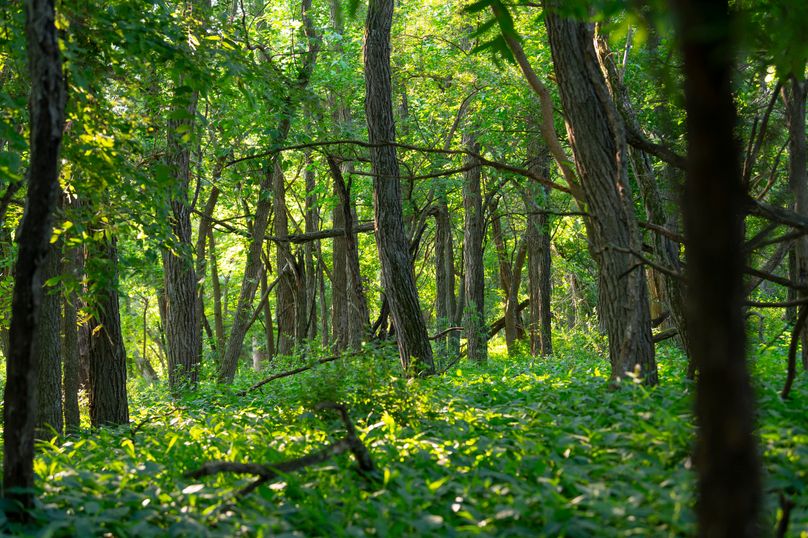 Benton IA 442 Pro Photo_66