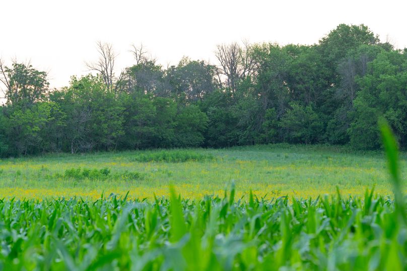 Benton IA 442 Pro Photo_41