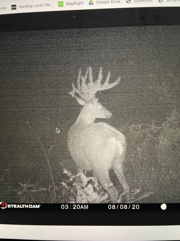 68004513303__C27F2A90-3B99-4685-8EF3-3508BB27CB26