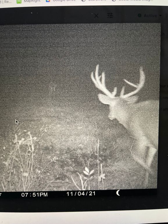 68004512522__C5CF1DC4-05D0-4402-AF8E-C77E2DAF01A1