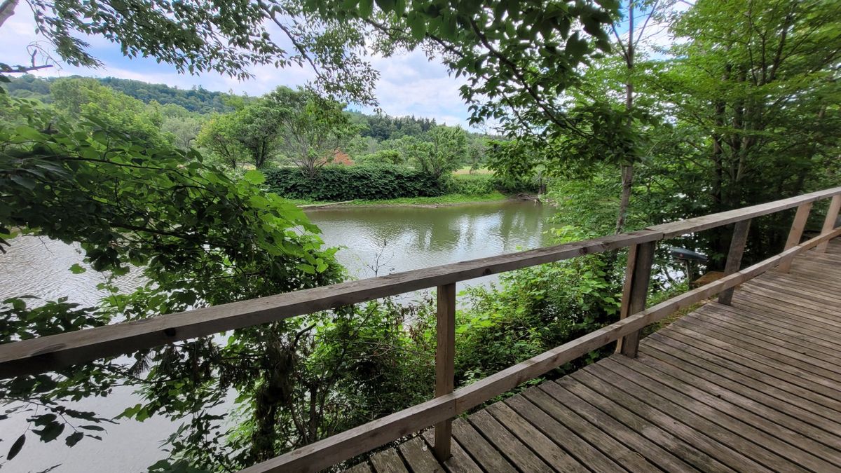 Little Gem Cabin On The Chenango River Whitetail Properties