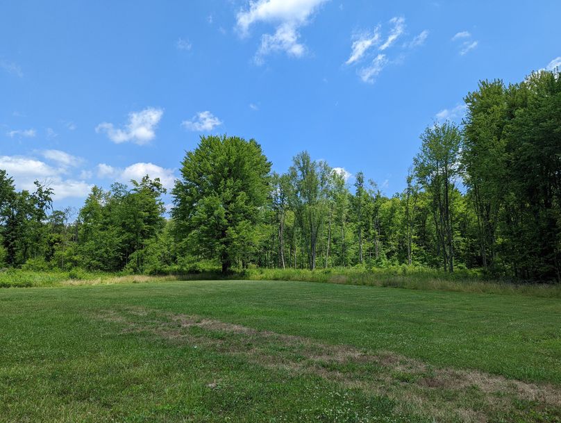 PXL_20220719_165846282