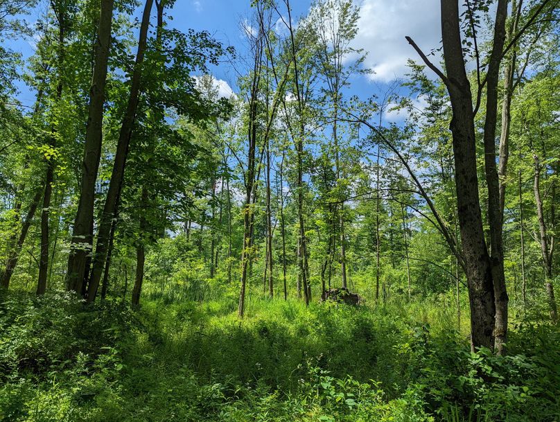 PXL_20220719_170444047