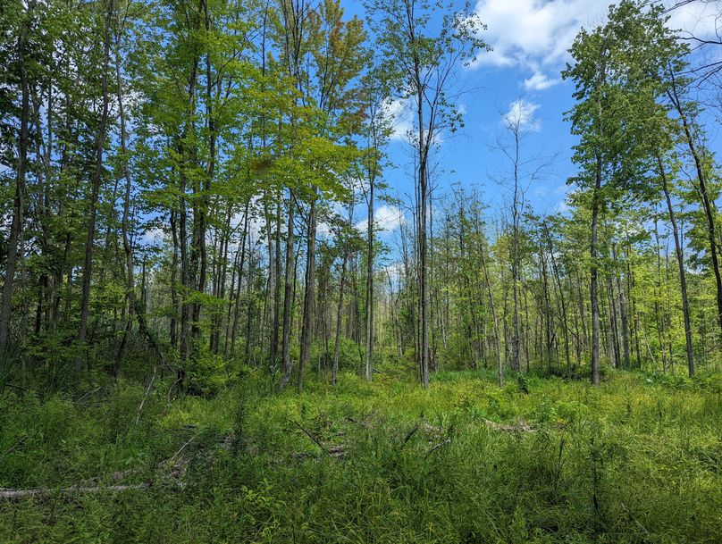 PXL_20220719_170717918