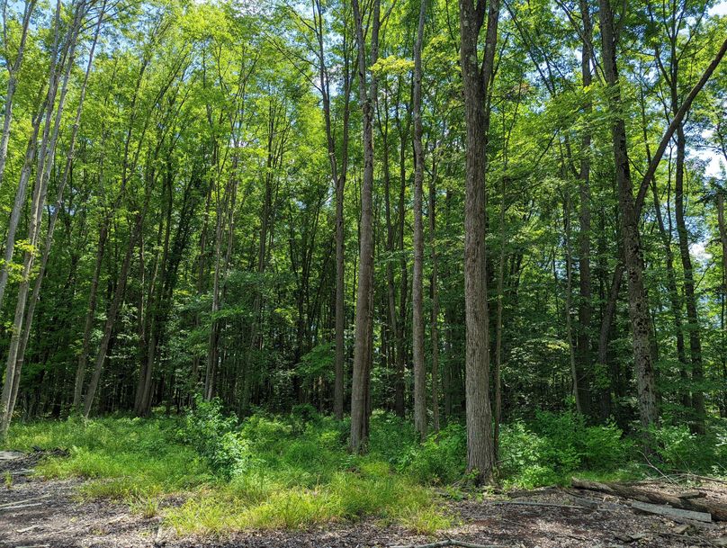 PXL_20220719_170538716