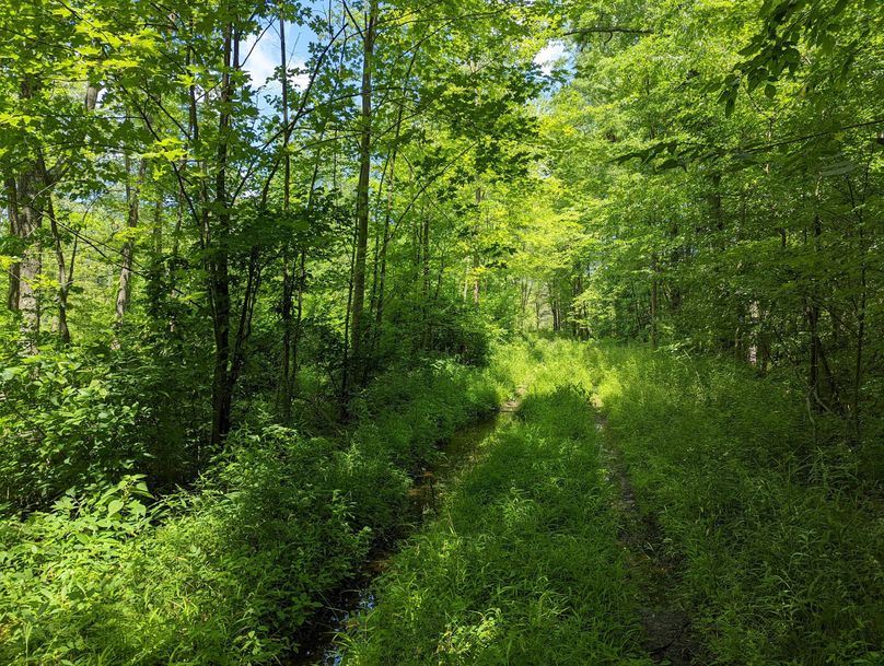 PXL_20220719_170253409