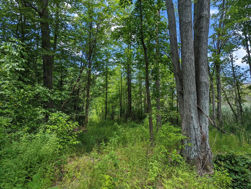 PXL_20220719_170729111