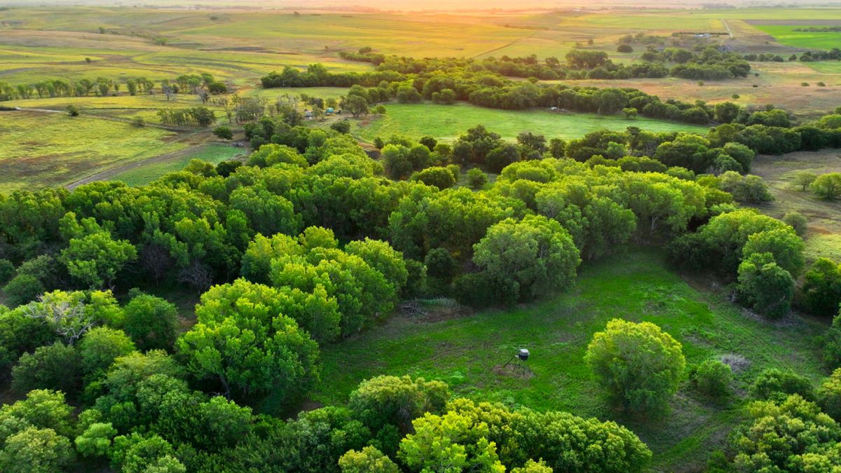 Cactus Creek Hunting Ranch Whitetail Properties