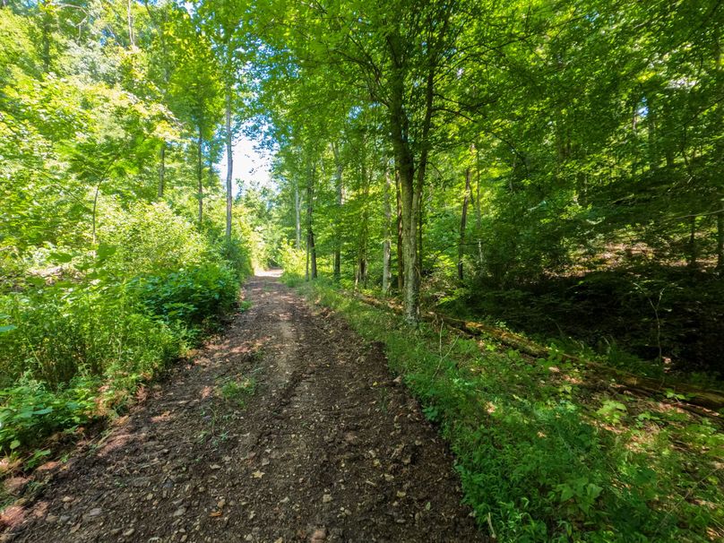 Perry 166 006 Great newly cleared trail system