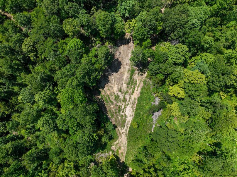 Perry 166 007 Overveiw of potential food plot