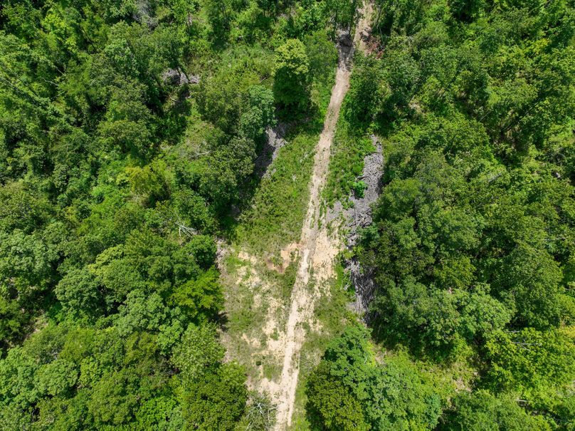 Perry 166 013 Another potentail food plot