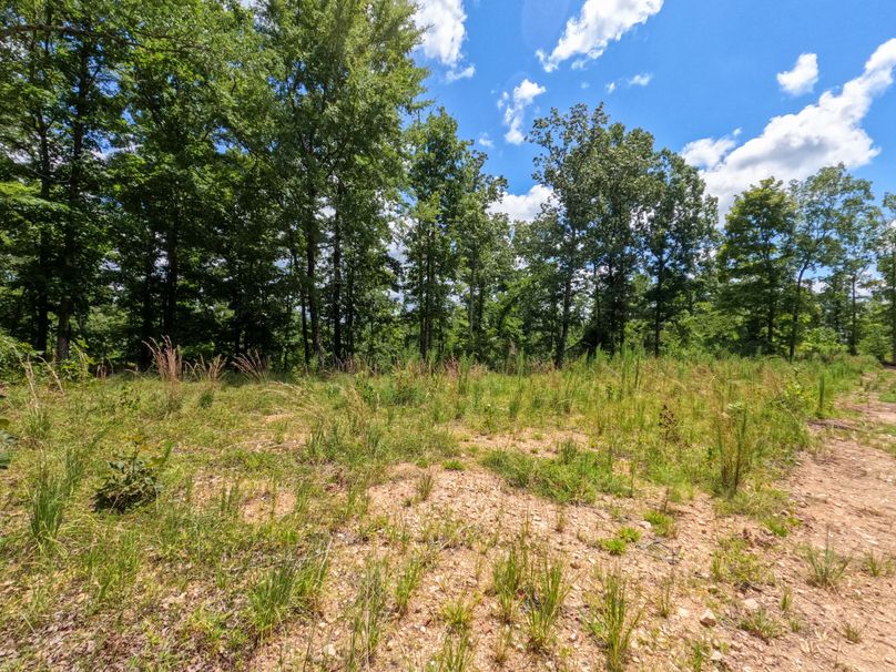 Perry 166 011 Ready for food this fall