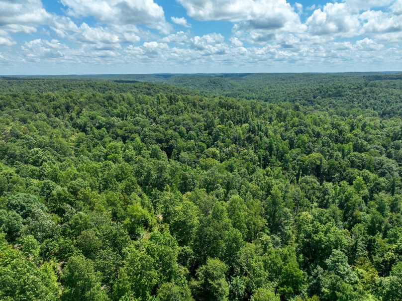 Perry 166 010 Topograpy that allows predicatable travel routes