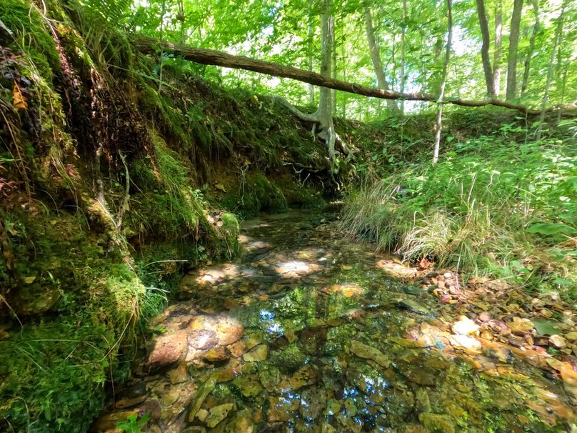 Perry 166 005. Year round flowing water