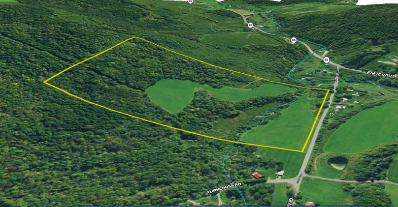 Chenango 47 Cole Aerial