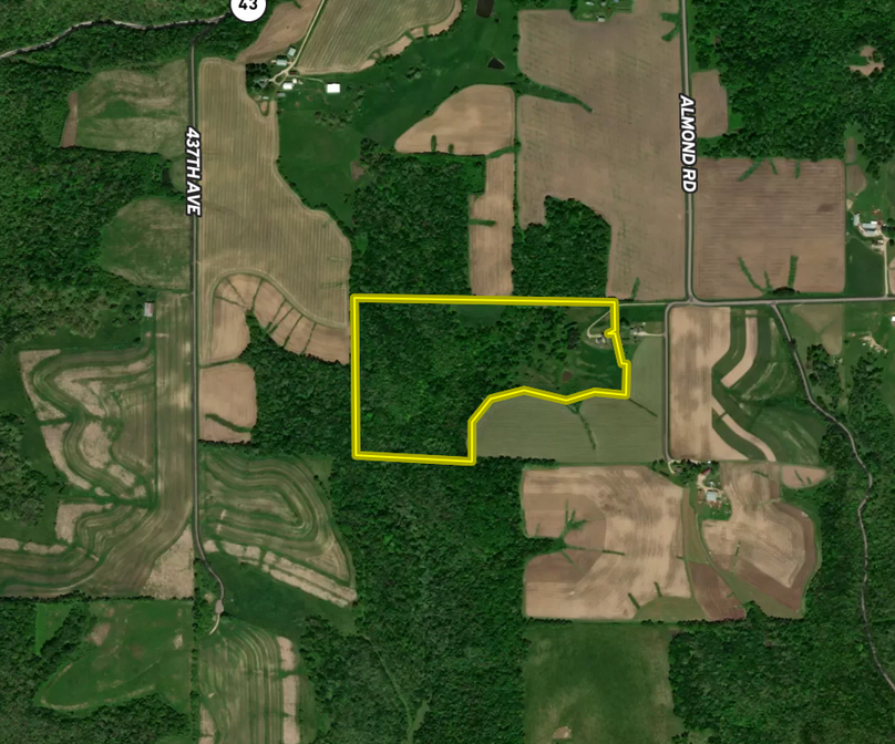 Screen Shot 2022-08-03 at 9.58.49 AM