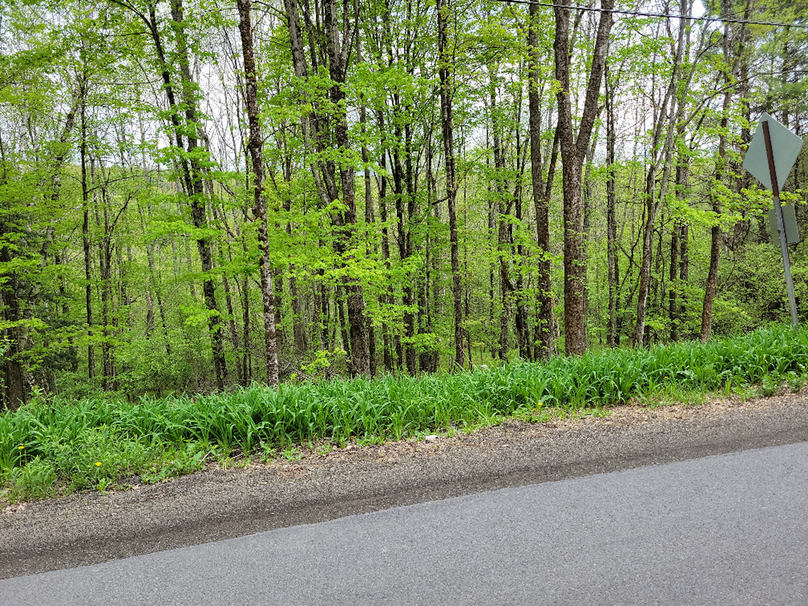 Copy of photo_585000000