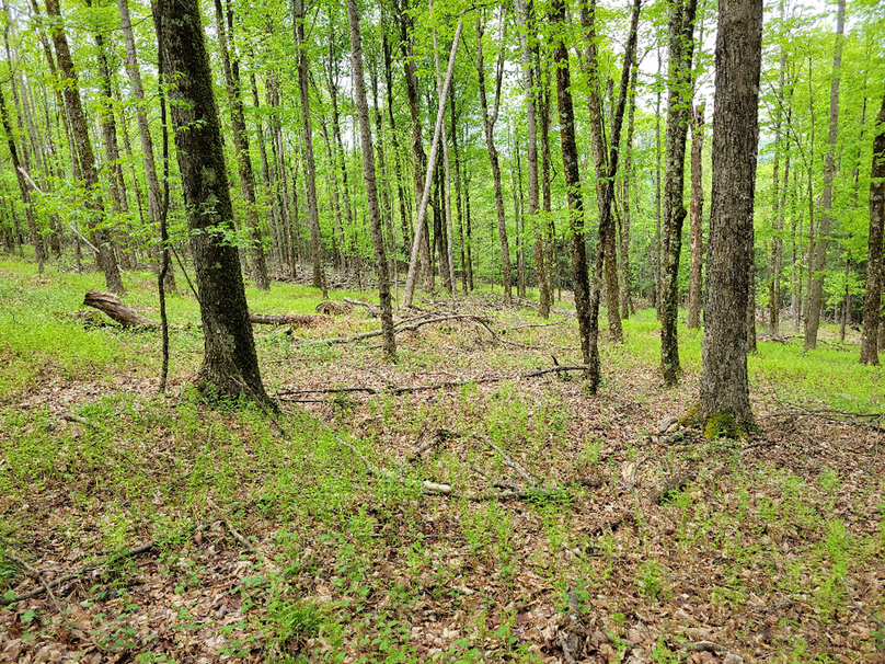 Copy of photo_726000000